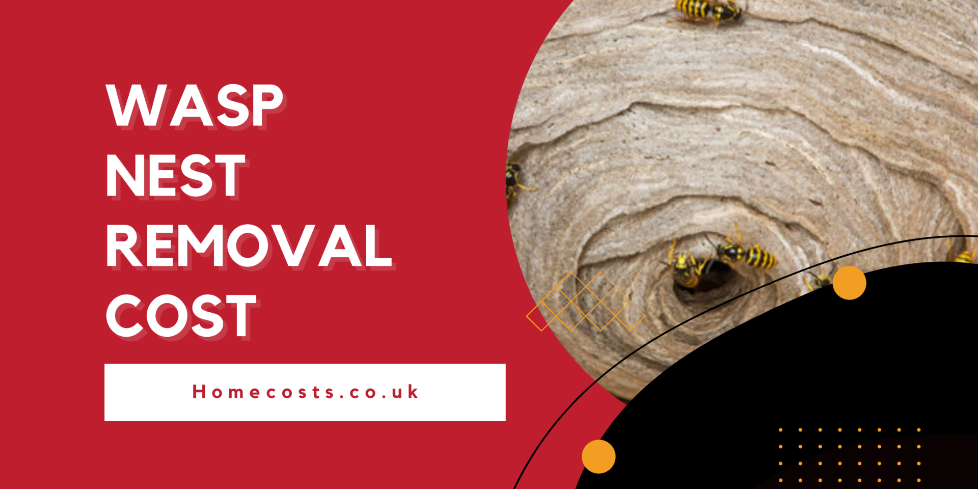 Wasp Nest Removal Cost Prices 2024 Homecosts Co Uk Wasp Nest Removal Cost Prices 2024 Homecosts Co Uk