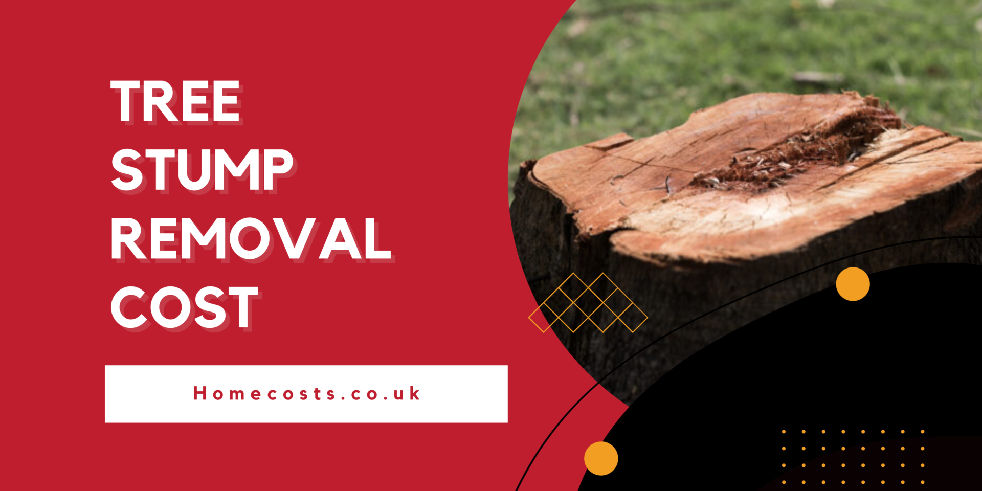 Tree Stump Removal Cost & Prices 2024 homecosts.co.uk
